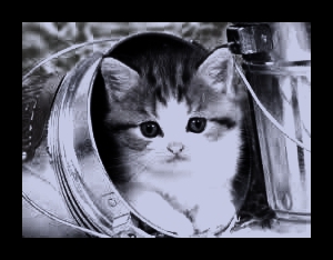 trop chouu :33 - photo 3