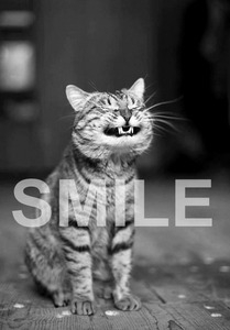 Smile !