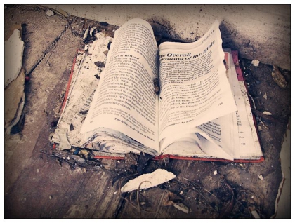 citations pour lovel life !♥♥