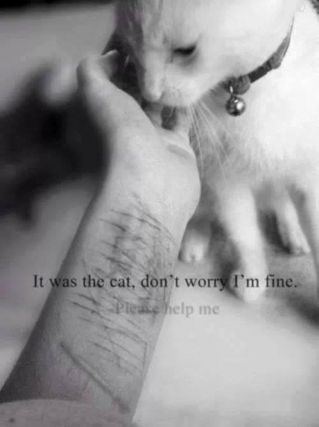 Ta Peau N'est Pas Une Feuille De La Coupe Pas!  - photo 3