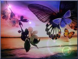 N'attends pas pour r�aliser tes r�ves!