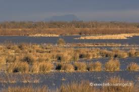 la camarge!! - photo 2