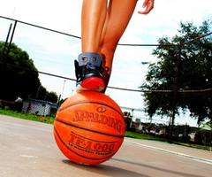 Le basket ball  - photo 3