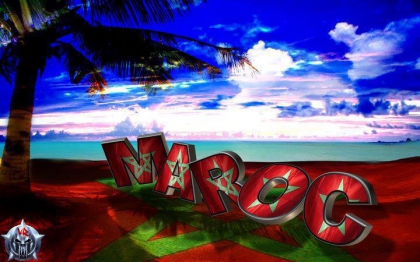 Le rasisme  - photo 3