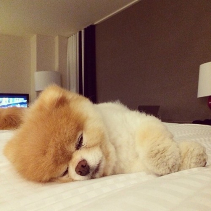 Do you like this pictures? :P