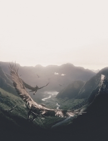 Extra�o Jorge: chapitre 10