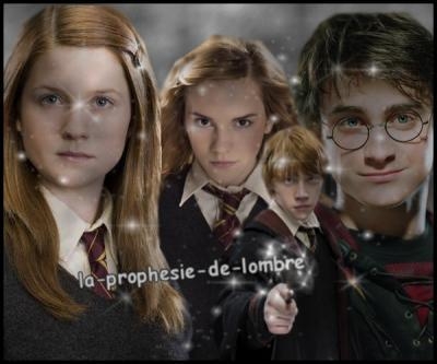 Ginny Weasley, Harry Potter, Ron Weasley et Hermione Granger