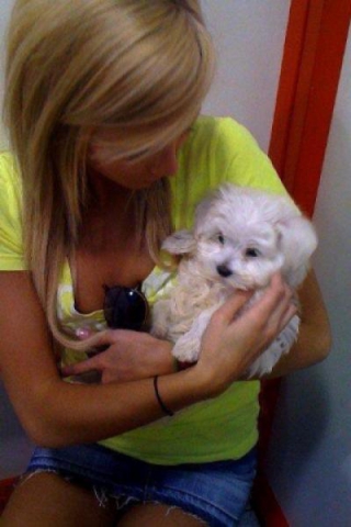 belle ou nn - photo 2