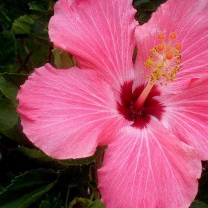 la matin�e qui commence