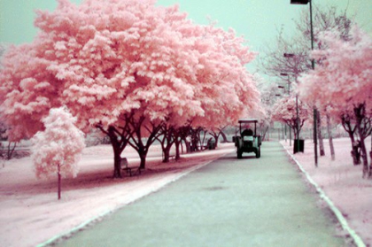 Mes Coups De Coeur - photo 2