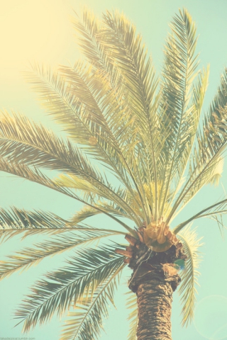 Une nouvelle chez vous ...!