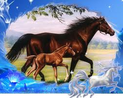 les chevaux - photo 3