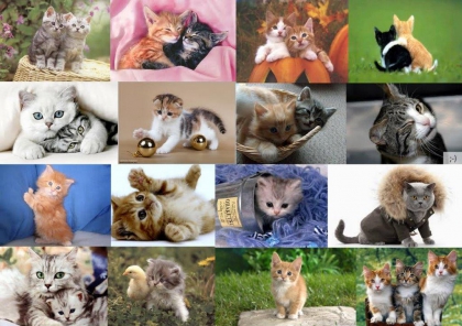 salut les fille - photo 2