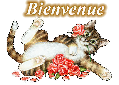 bienvenu sur mon blog  - photo 3