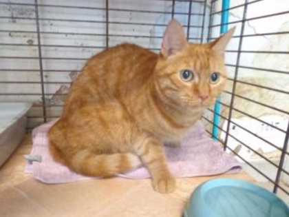 Pour le concours Loulou crazy 