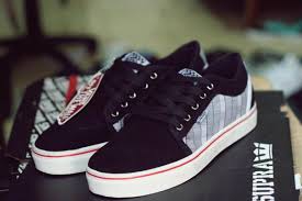 VanS - photo 3