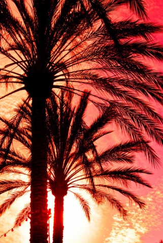 Photos ! ;) - photo 3