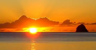 Je vais peut etre partir - photo 2