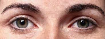 Pour quoi les 3 me detestent les 6 me ?