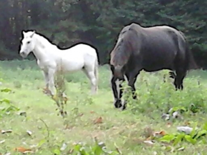 mon supere blog!!!!!!!!!!!!