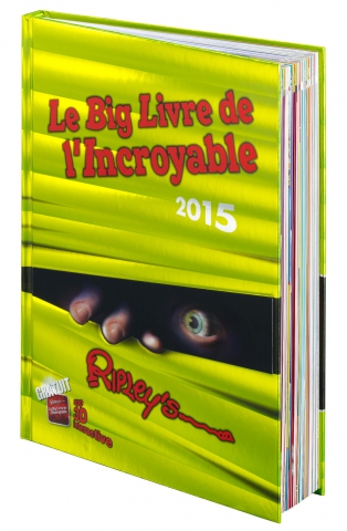 Idée de cadeau : Le Big Livre de l'Incroyable 2015 !