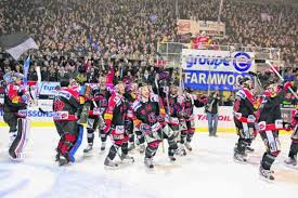 LES DRAGONS! FG. - photo 2