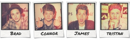 the vamps 