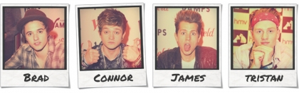 the vamps 