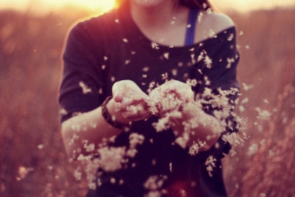 me voila en nouveau compte 