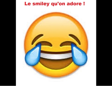 smiley pleure de rire