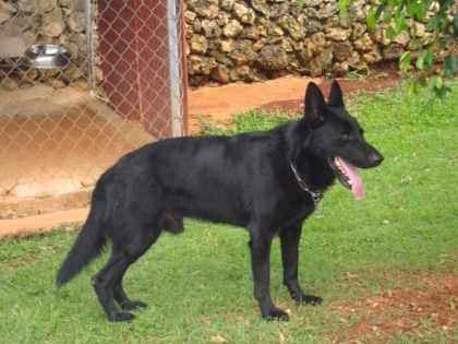 Mon premier article  - photo 2