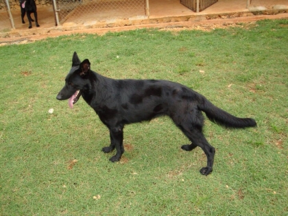 Mon premier article  - photo 3