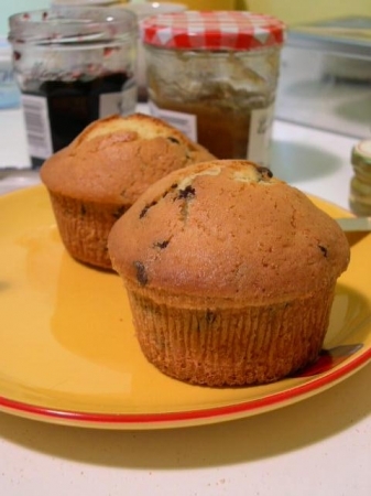 Muffins <3