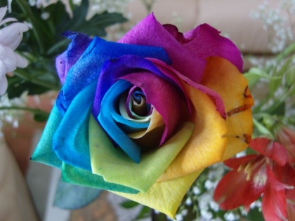 Le langage des fleurs !!