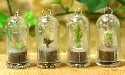 *o*[Les insolites Jap']*o* Plantes  emporter !