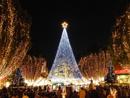 *o*[La culture Jap']*o* Nol !