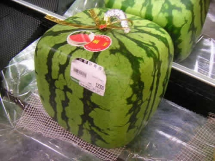 *o*[Les insolites Jap']*o* Pastque Jap' !