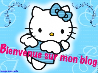 bienvenue sur mon bog