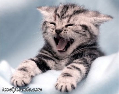 rrrrrrrrrrr chhhchhch mimimi