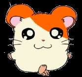 hamtaro