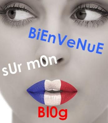 bienvenue sur mon blog