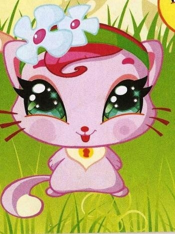 Coco le chaton de Flora