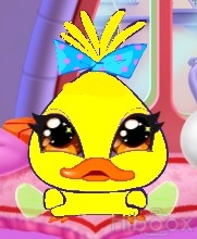 Chicko le canari de Tecna