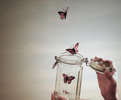 Lectrices, oyez, oyez.