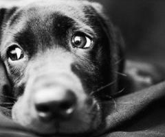 Les temps - Chapitre 7 : (Re)nconctre [introduction]