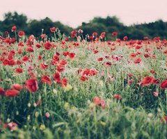 (`._) Ecriture (`._)