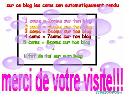 Blog metss des coms rendu!