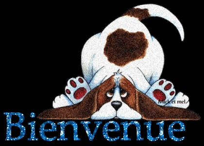 bienvenue