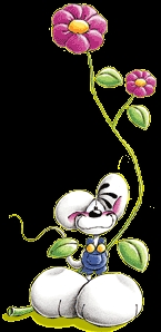 Diddl et la fleur