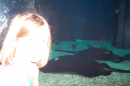 moi et les poissons 3